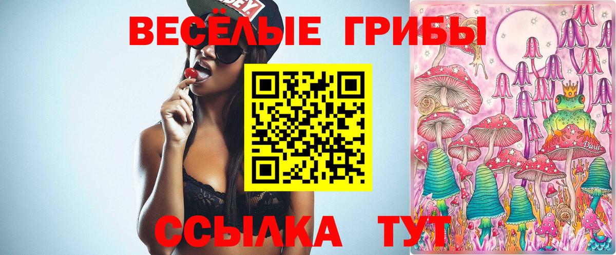 Псилоцибиновые грибы мухоморы Великий Устюг