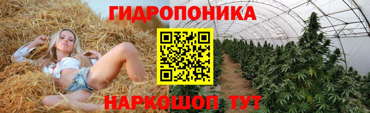 Великий Устюг  Бошки Шишки Bruce Banner  Марихуана ГИДРОПОН  Вход с VPN  Шишки марихуана Bruce Banner  Каннабис Ganja 
